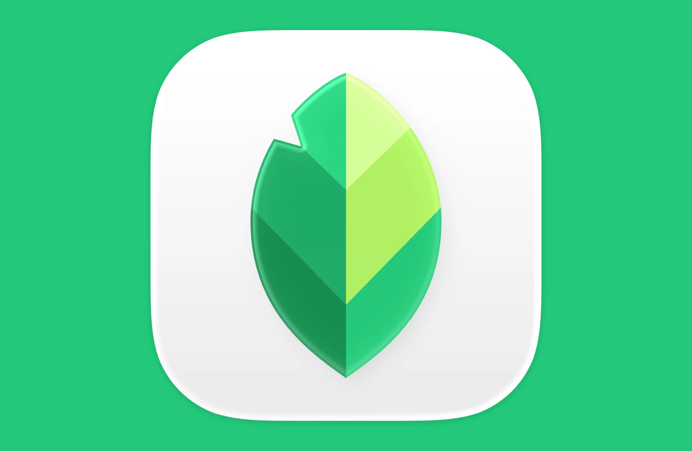 Snapseed 4.0 Update Rolls Out for Android and iOS Devices