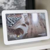 Google Sends Major Updates to All of Its Google Home, Nest , Streamer Devices